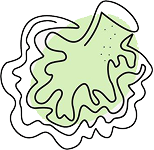 shape
